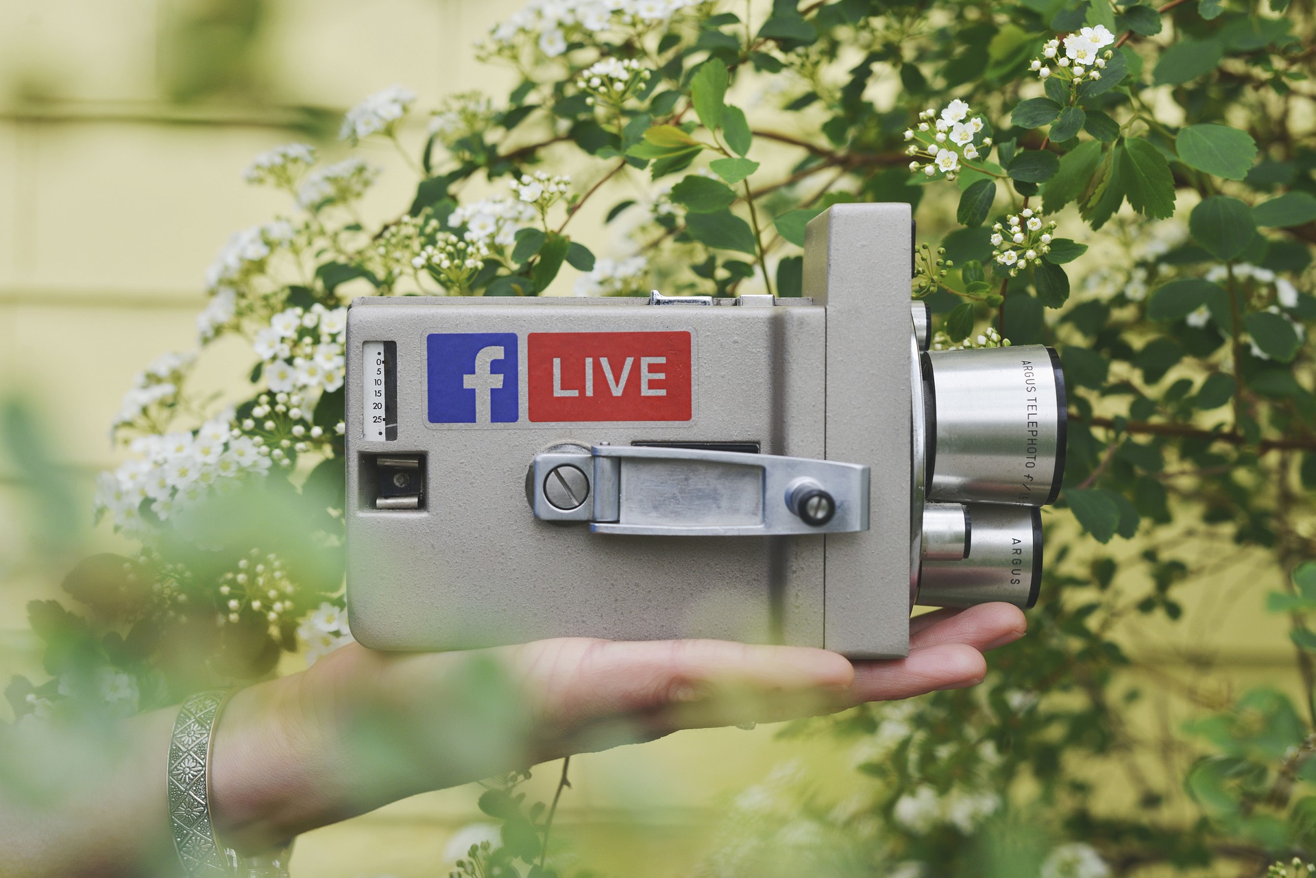 BeLive | Social Live Stream Solutions for Business